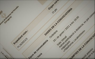 Ple Ordinari Gener 2021